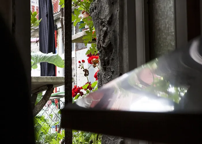 Terro Collection - * Порту