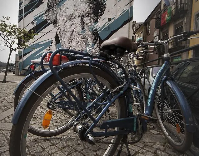 Terro Collection - *