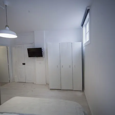 Terro Collection - *