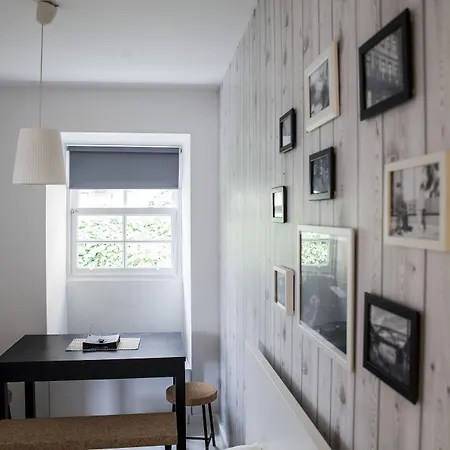 Terro Collection - *