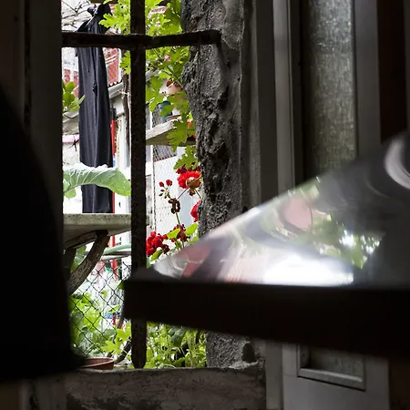 Terro Collection - * 포르투