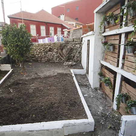 Terro Collection - 포르투