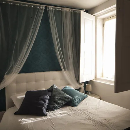 Apartment Terro Collection -