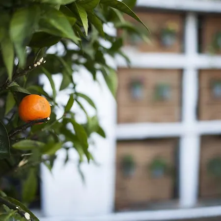 Terro Collection - Appartement Porto