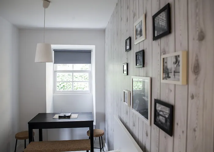 Terro Collection - *