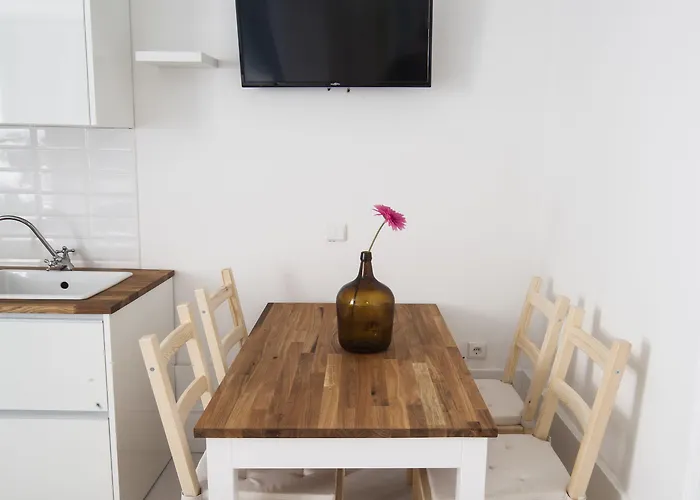 Terro Collection - *