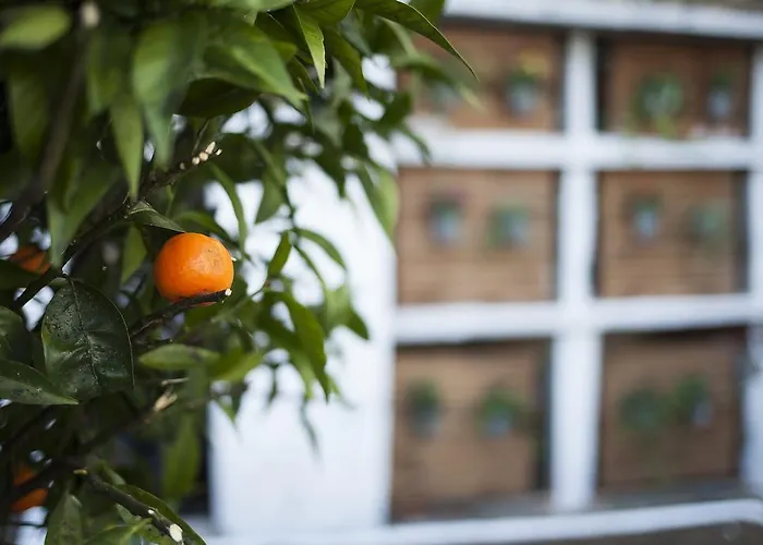 Terro Collection - شقة بورتو