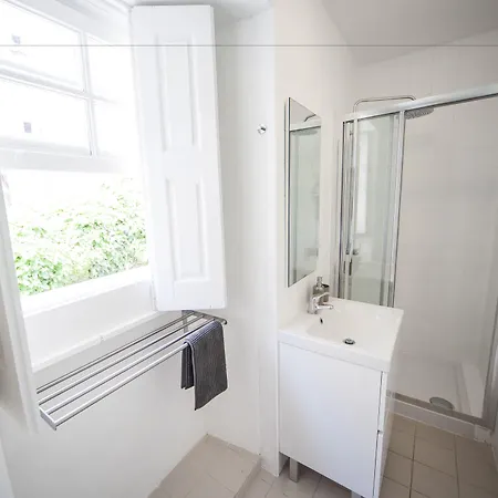 Terro Collection - *