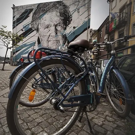 Terro Collection - *